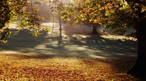 Cambio de estaciones