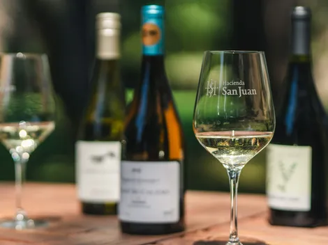 Fiesta de la Vendimia San Antonio 2024: Precios y entradas