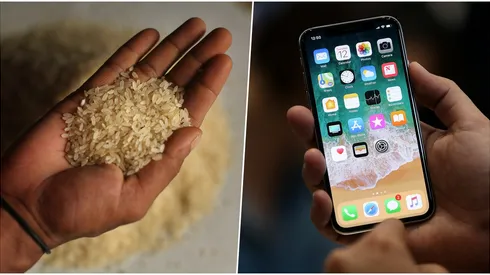 Apple desmiente mito de dejar el iPhone mojado en arroz