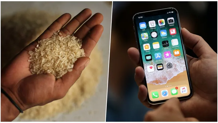 Apple desmiente mito de dejar el iPhone mojado en arroz