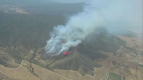 Nuevo incendio forestal en la comuna de Casablanca, en la región de Valparaíso.