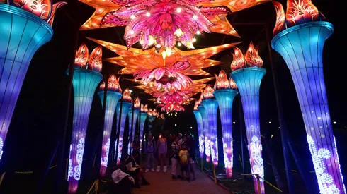 Conoce todos los detalles de los festivales de luces de Santiago.