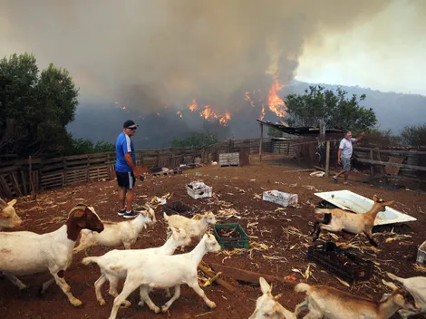 El mundo del fútbol sobre incendios: "Parecía película de terror"