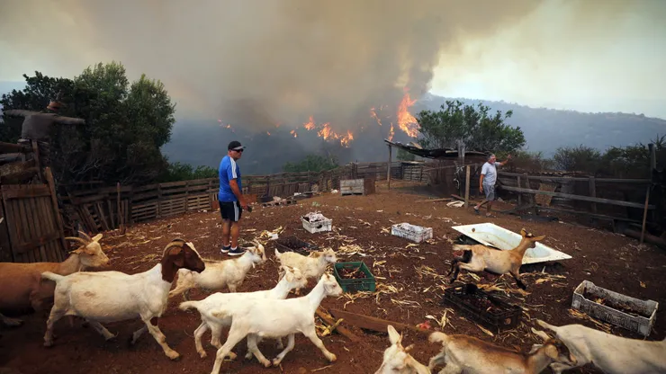 Gabriel Mendoza y Jorge Garcés hablaron de los incendios en Valparaíso.
