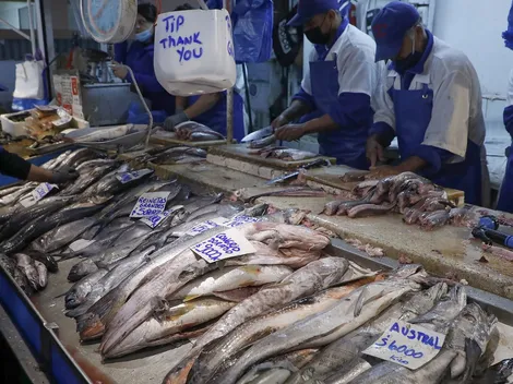 ¿Por qué sí se puede comer pescado el Viernes Santo?