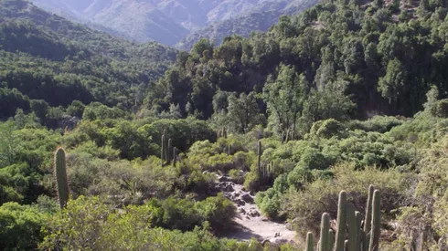 Día Nacional del Deporte