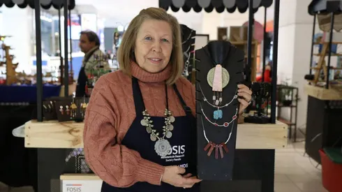 Programa Fosis Emprendedores