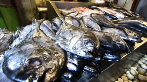 ¿Una alternativa al pescado? Gobierno advierte alza en los precios por Semana Santa