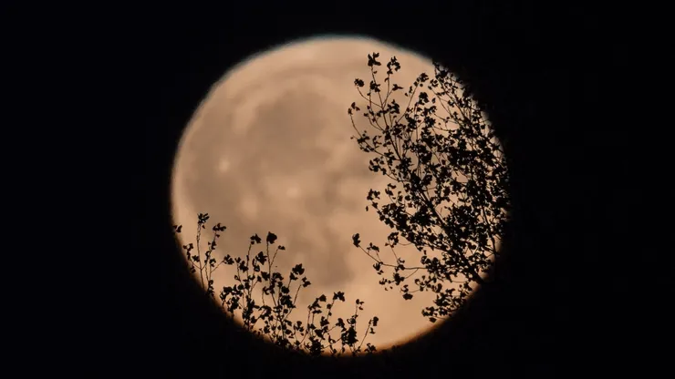 Luna llena