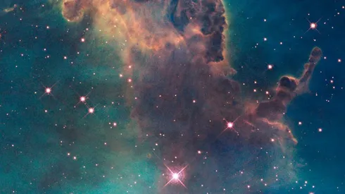 ¿Qué dice tu horóscopo?