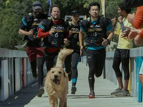 Arthur, la historia del perrito se estrena pronto en cines chilenos