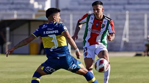 Everton y Palestino se ponen al día con público.