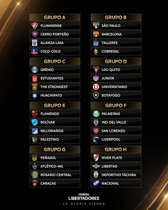 El Cacique quedó ubicado en el grupo A de la Copa Libertadores.