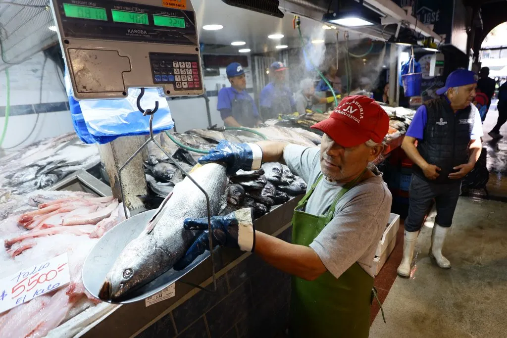 El Viernes Santo es costumbre reemplazar la carne roja o blanca por el pescado (Aton Chile)