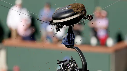 Invasión de abejas en Indian Wells.