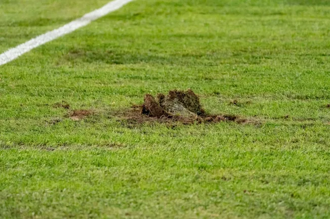 Una de las tantas champas de pasto que dejó ver la cancha del Monumental. (Foto: Guille Salazar | RedGol).