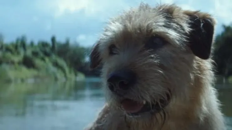 Arthur, una amistad sin límites.