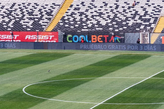 Así luce el centro de la cancha del Monumental. Foto: Guille Salazar, RedGol.