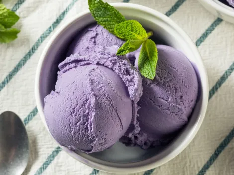 ¿Cómo hacer helados caseros?