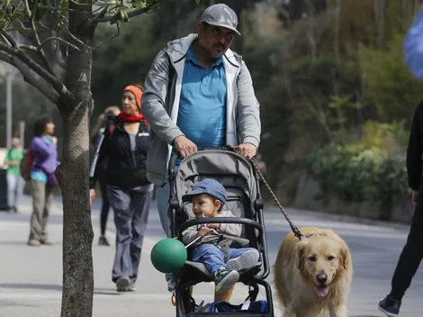 ¿Qué panoramas hay para el 1 de mayo?