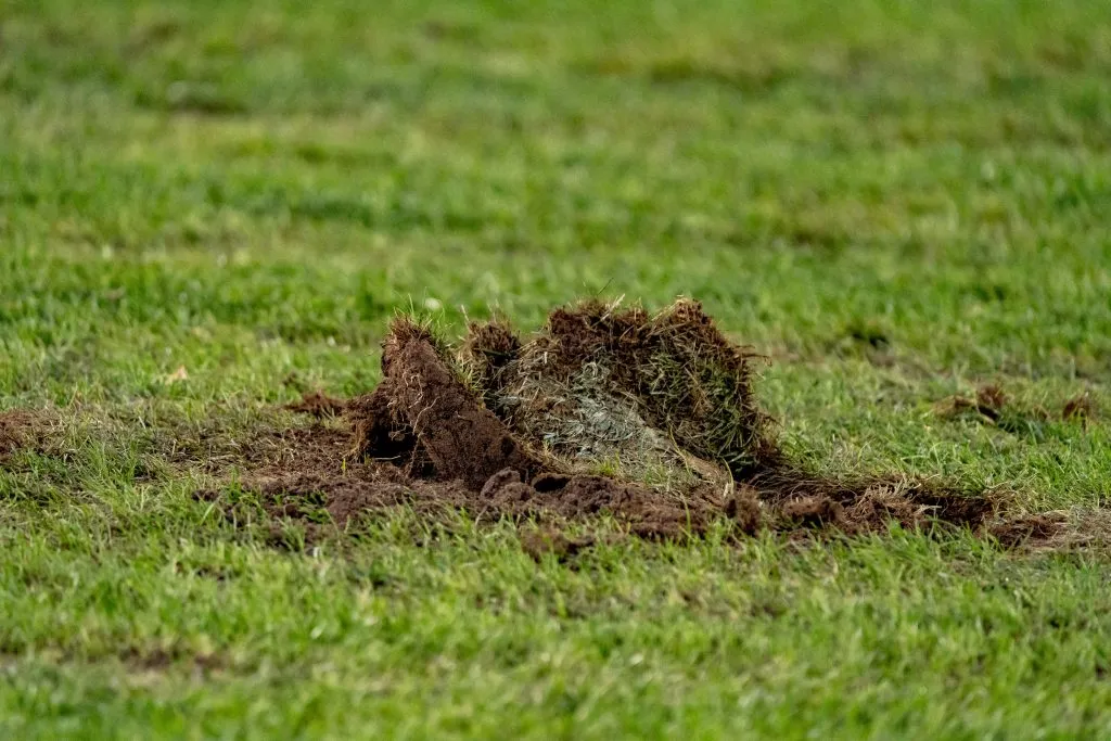 La cancha de Colo Colo en mal estado