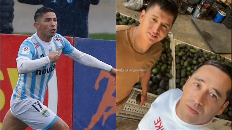 El mundo del fútbol revolucionado por las paltas.