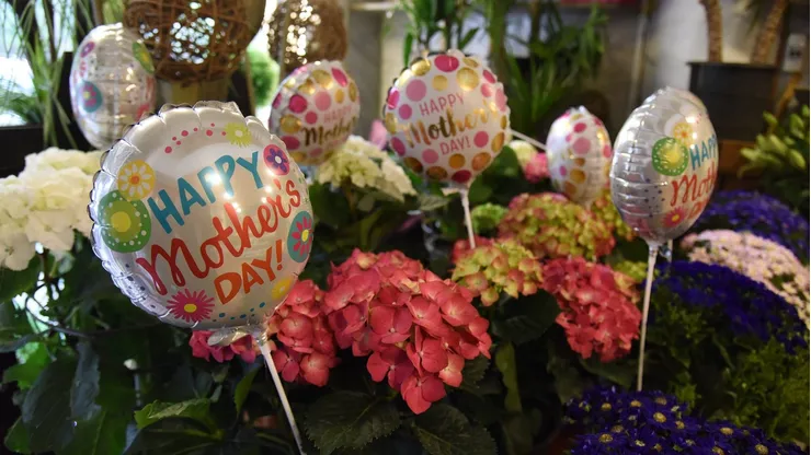 Este 12 de mayo es el Día de la Madre.
