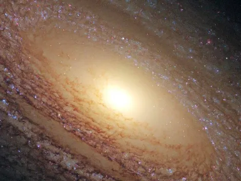 Horóscopo de hoy miércoles 24 de abril según tu signo zodiacal