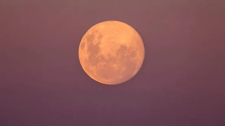 Luna llena Rosa