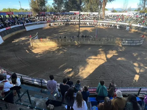 Vergara y Rivera brillan en el Nacional Universitario