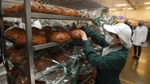 Sueldo mínimo actualmente está en 460 mil pesos en Chile.