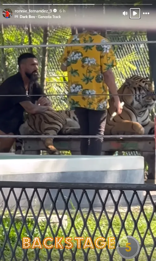 Ronnie Fernández posó con un tigre en Malasia. Foto: Instagram.