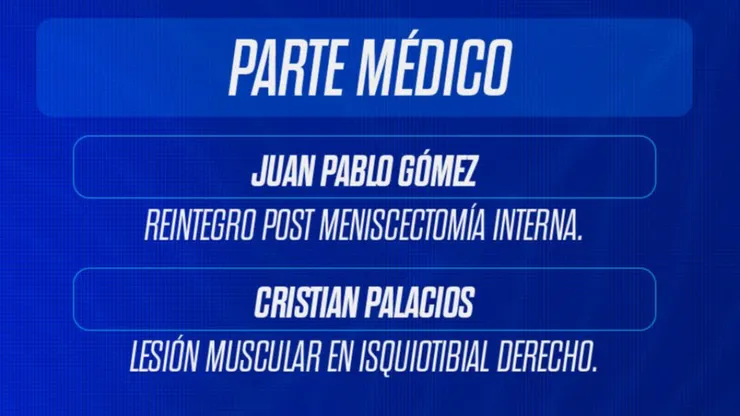 El estado de las lesiones azules. (Foto: Universidad de Chile).