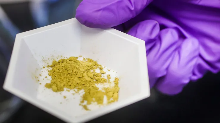 Droga Kratom