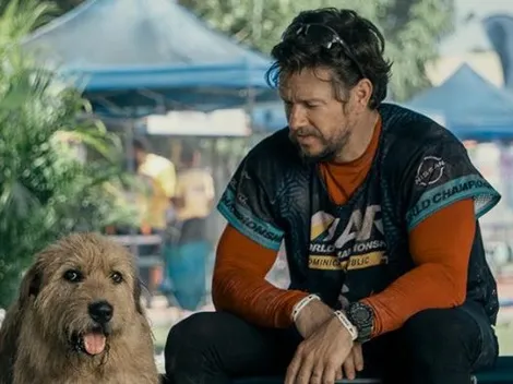 La pureza de los animales en Arthur: una amistad sin límites