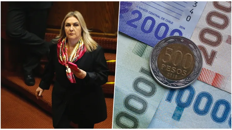 Pamela Jiles insiste en nuevo proyecto de Retiro de fondos