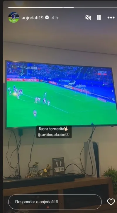 La historia de Lezcano para festejar por el gol de Palacios. (Captura Instagram).