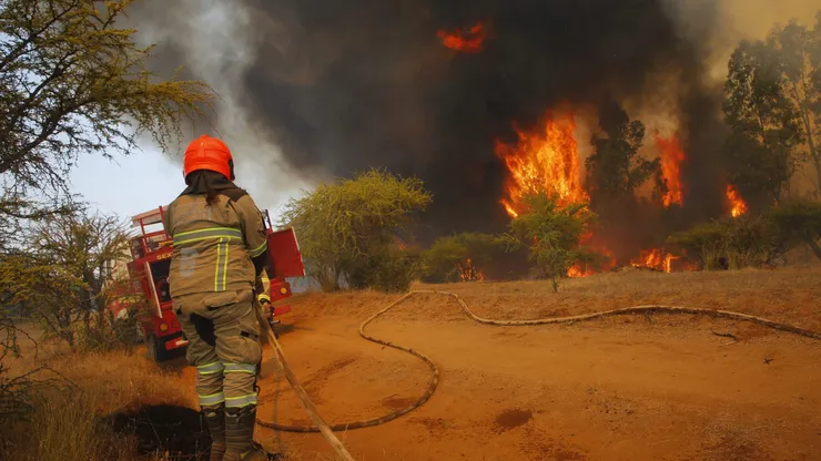 Incendio forestal.