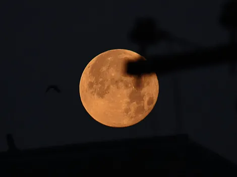 ¿Se puede ver en Chile la Luna de Flores?