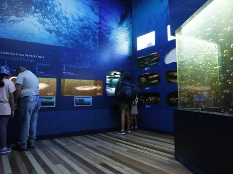 ¿Qué panoramas hay para el feriado del 21 de mayo?