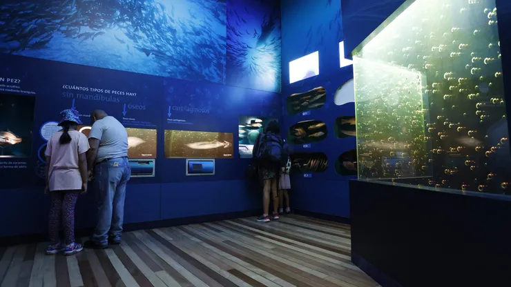 Museo en Chile.