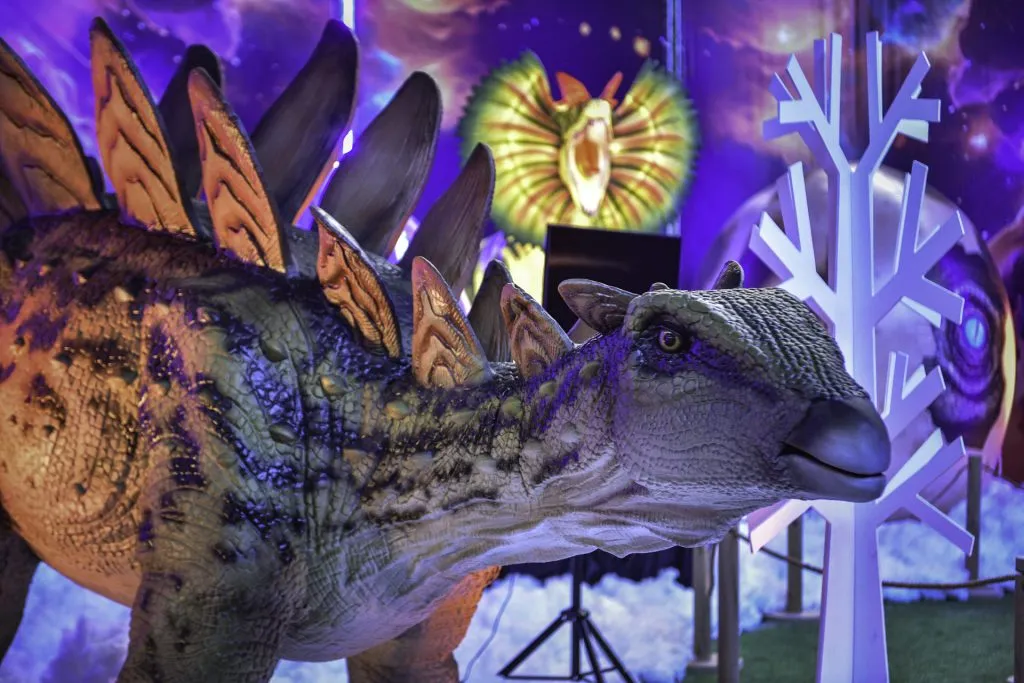 Parte de la exposición y aventura que se verá. Foto: cedida.