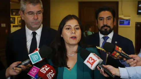 Diputada Karen Medina