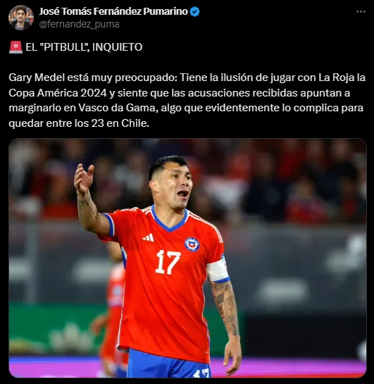 Revelan seria preocupación de Medel de cara a Copa América.
