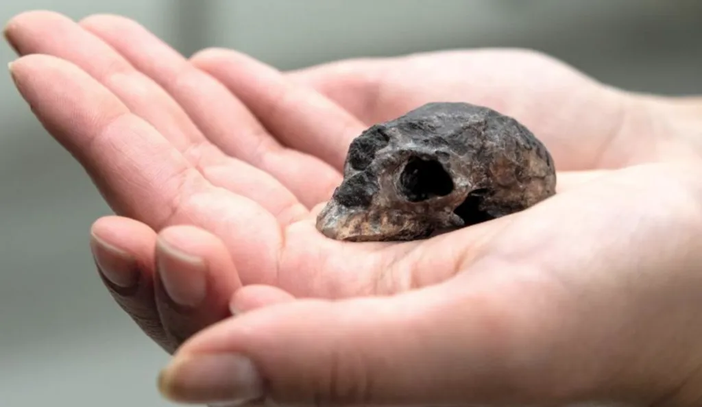 diadelospatrimonios.cl