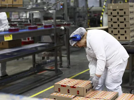 ¿Recibiste el pago del Subsidio al Empleo Joven? Consulta con tu RUT