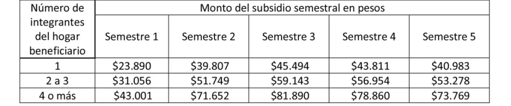Semestre 1 (segunda mitad de 2024) y Semestre 5 (segunda mitad de 2026)