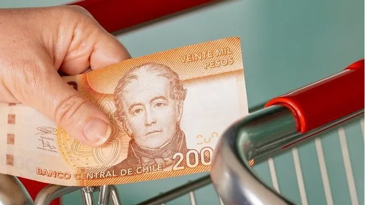 Dinero - Bolsillo Familiar Electrónico 2024.