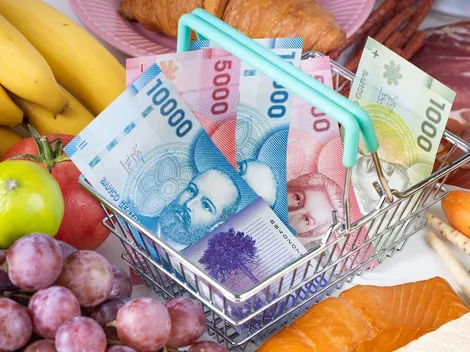 ¿Puedo consultar mi RUT por el Bolsillo Eléctrico?