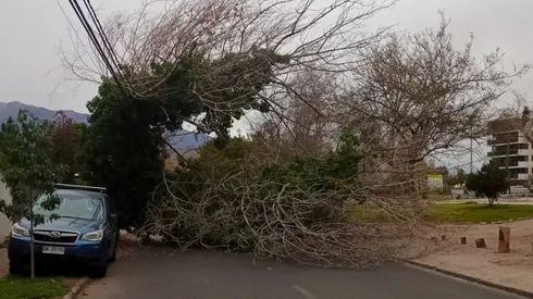 Fuertes vientos se esperan en la jornada.
